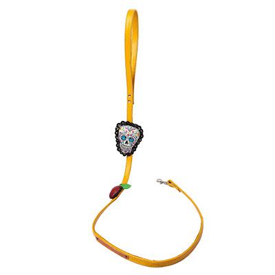 Mexican Chic Leash